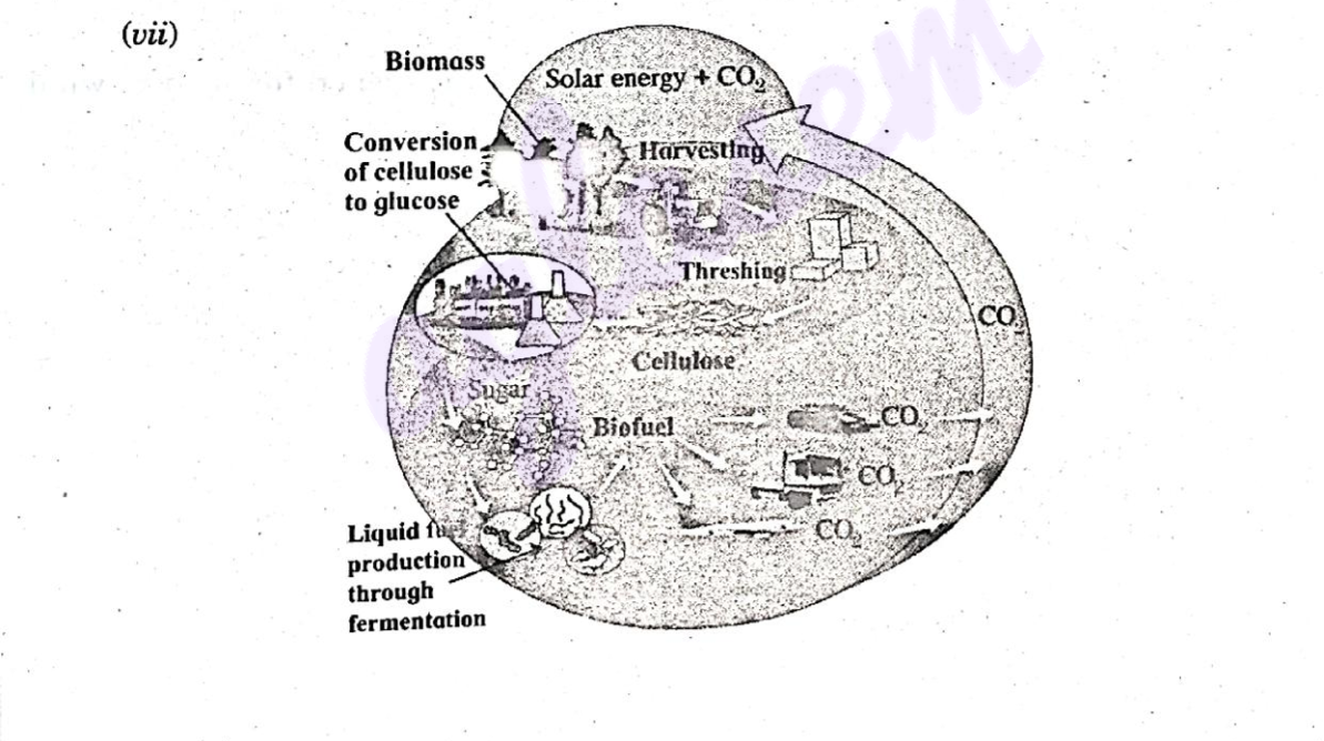 diagram for Fuels obtained from biomass