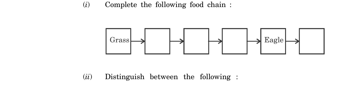 diagram for Complete / reorganize a food chain
