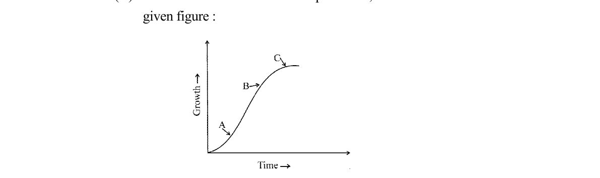 diagram for Phases of population growth curve